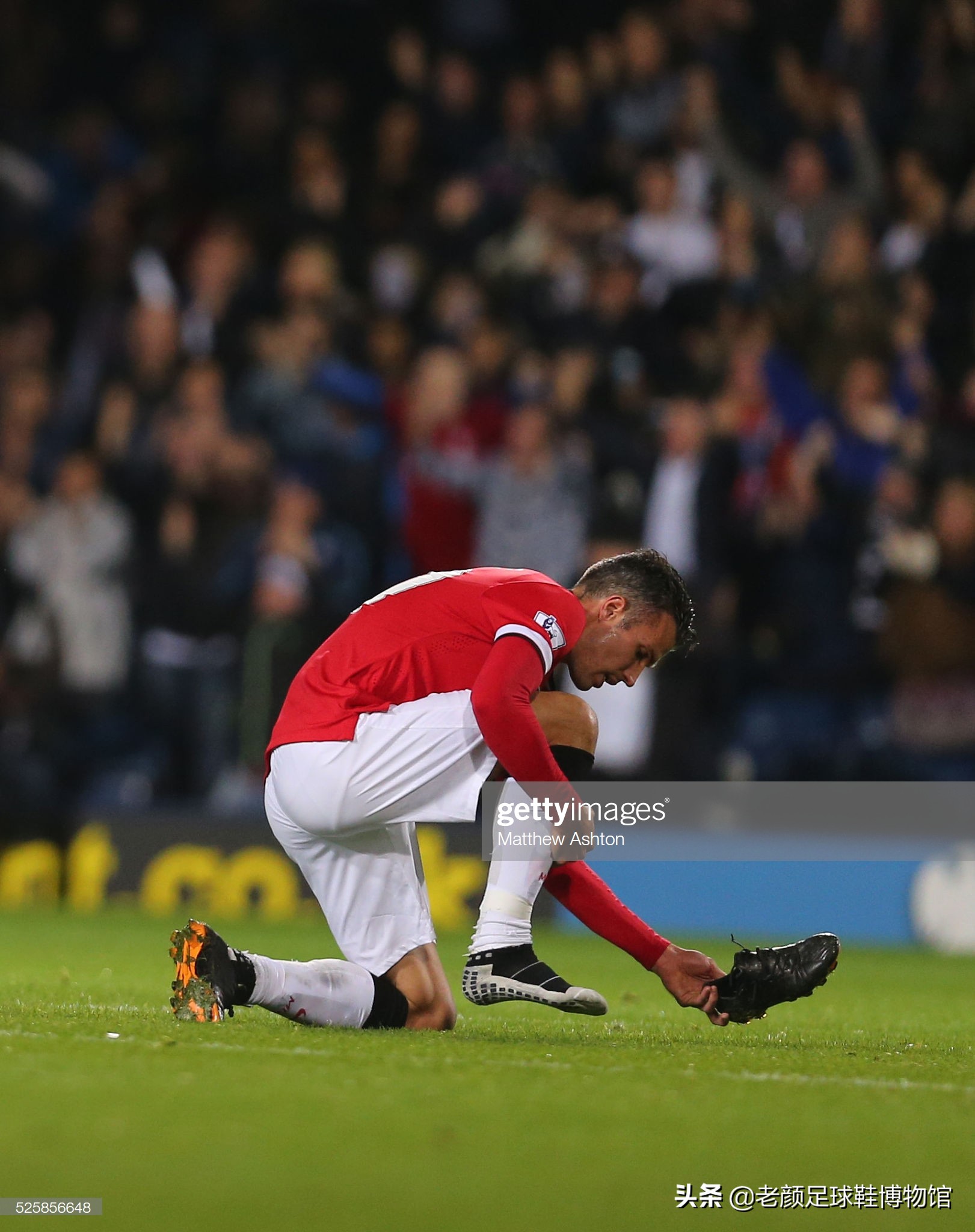 你要继续吗 你要继续吗